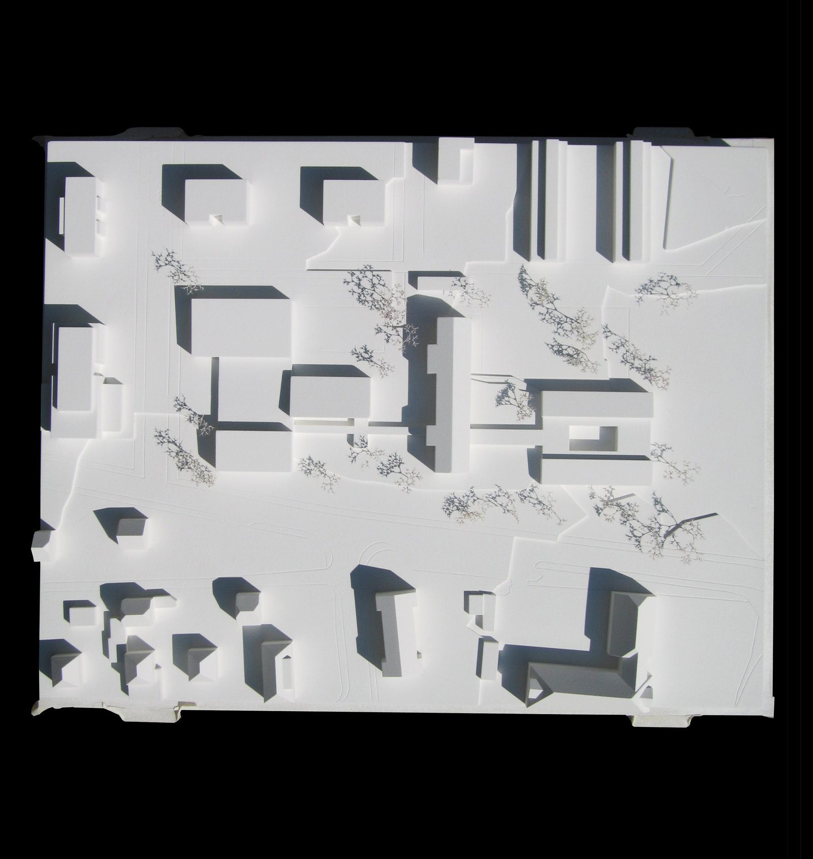  mlzd chat Turnhalle Schulhaus Châtelet Modell