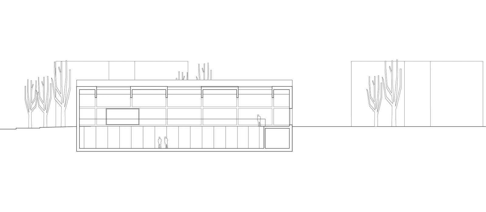  mlzd chat Turnhalle Schulhaus Châtelet Schnitt