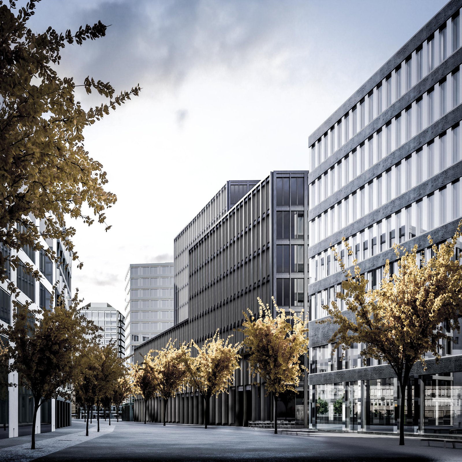 mlzd eaz Europaallee Baufeld aussen