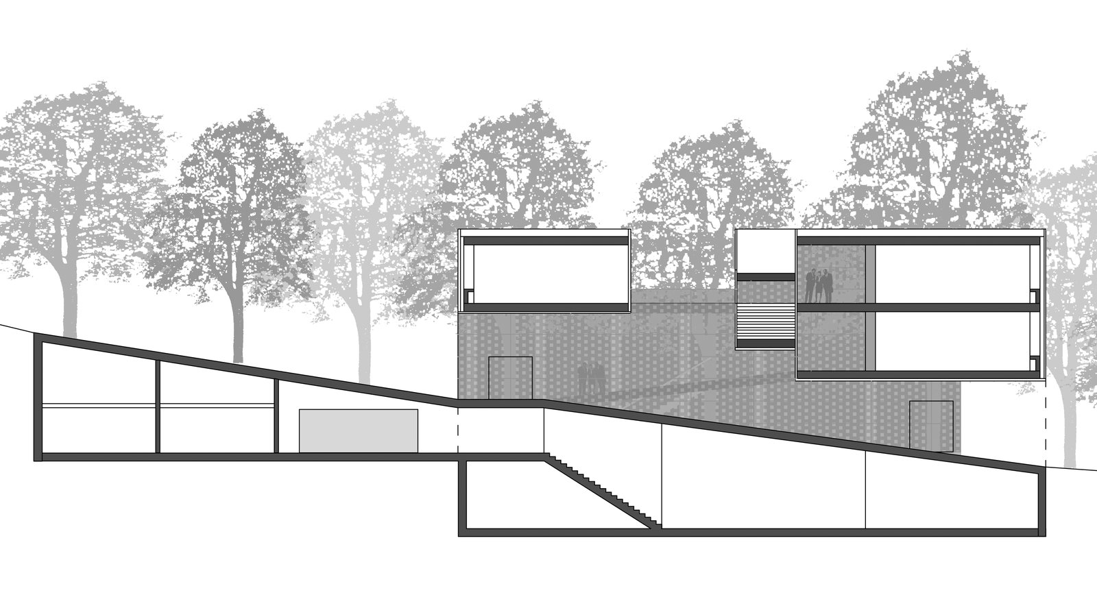 mlzd ecene Schule Maladiére Schnitt