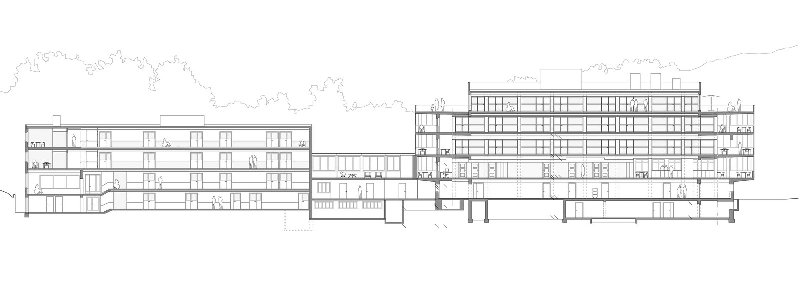 mlzd elf Sanierung Pflegezentrum Elfenau Schnitt