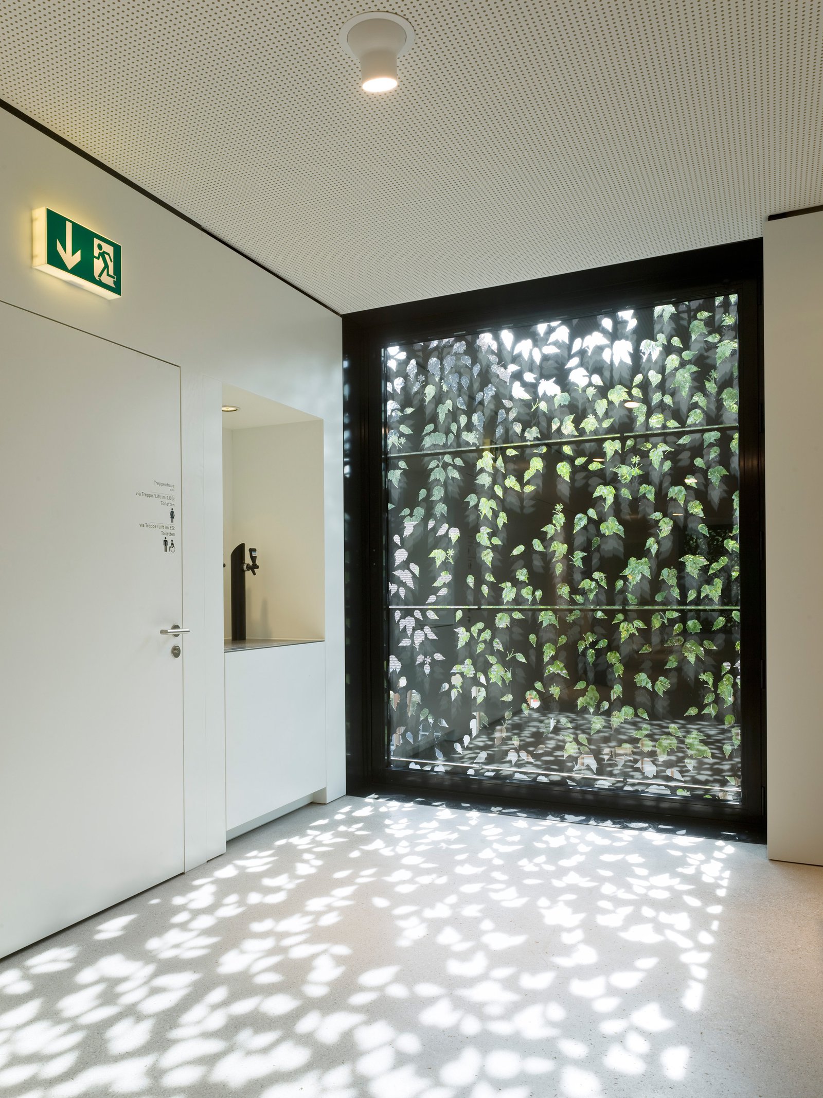 mlzd emw Einbau Mensa Kantonsschule Fenster