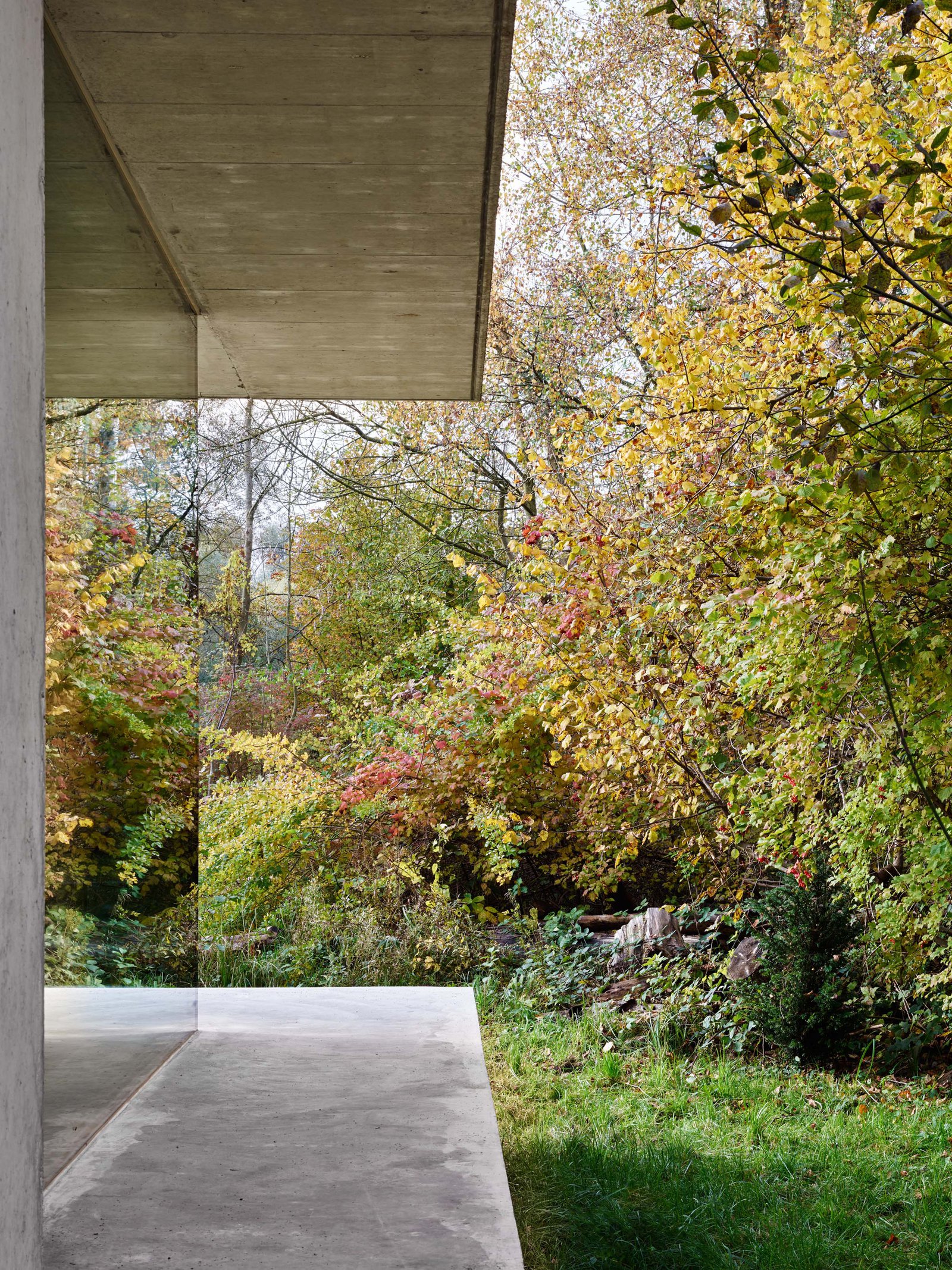 mlzd ewi Einfamilienwohnhaus Ipsach Glasfront