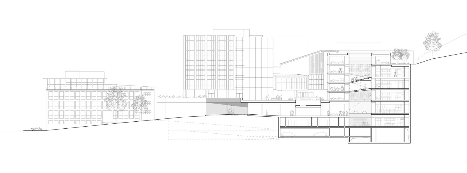 mlzd glcz Neubau Forschungsgebäude GLC Schnitt