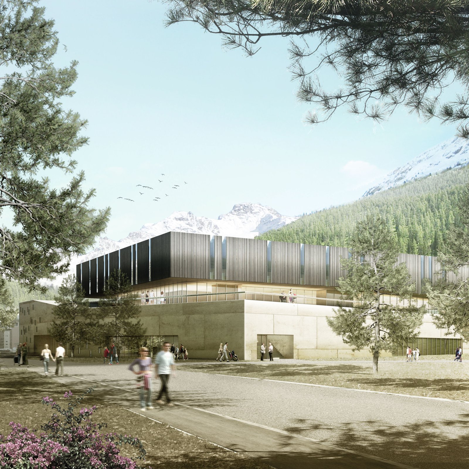 mlzd hsm Wettbewerb Hallenbad Sportzentrum aussen