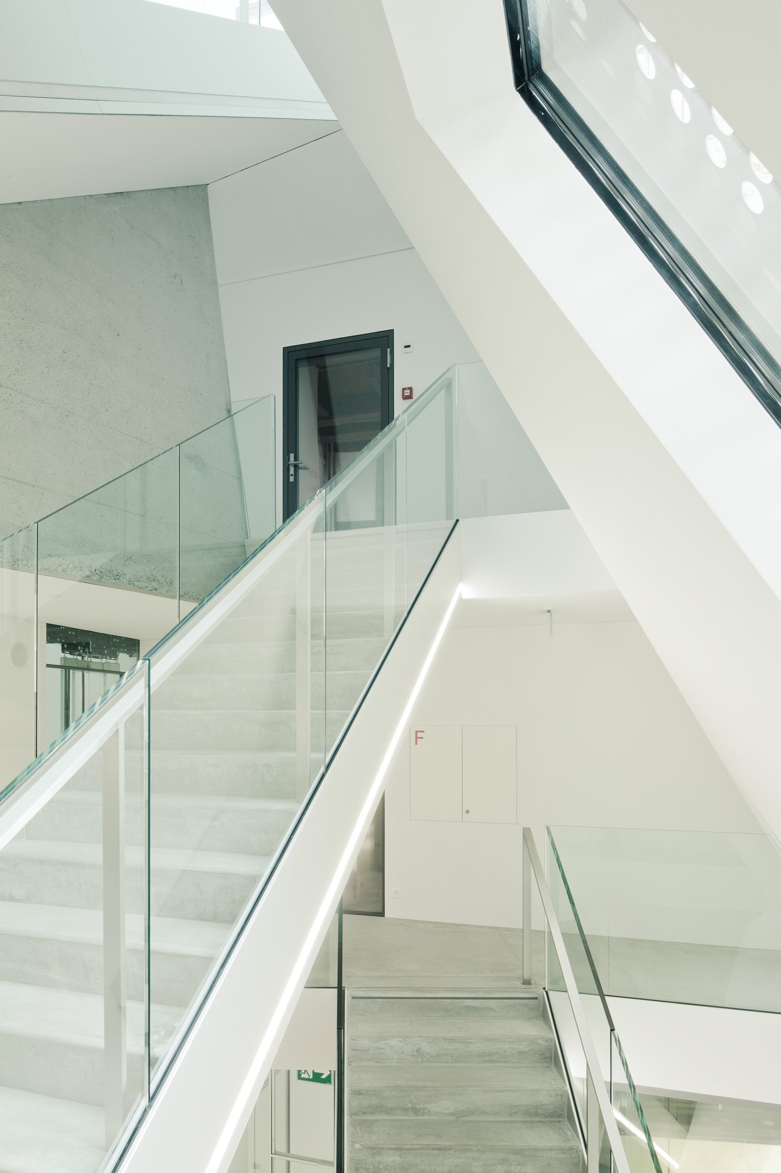 mlzd janus Sanierung Stadtmuseum Treppen