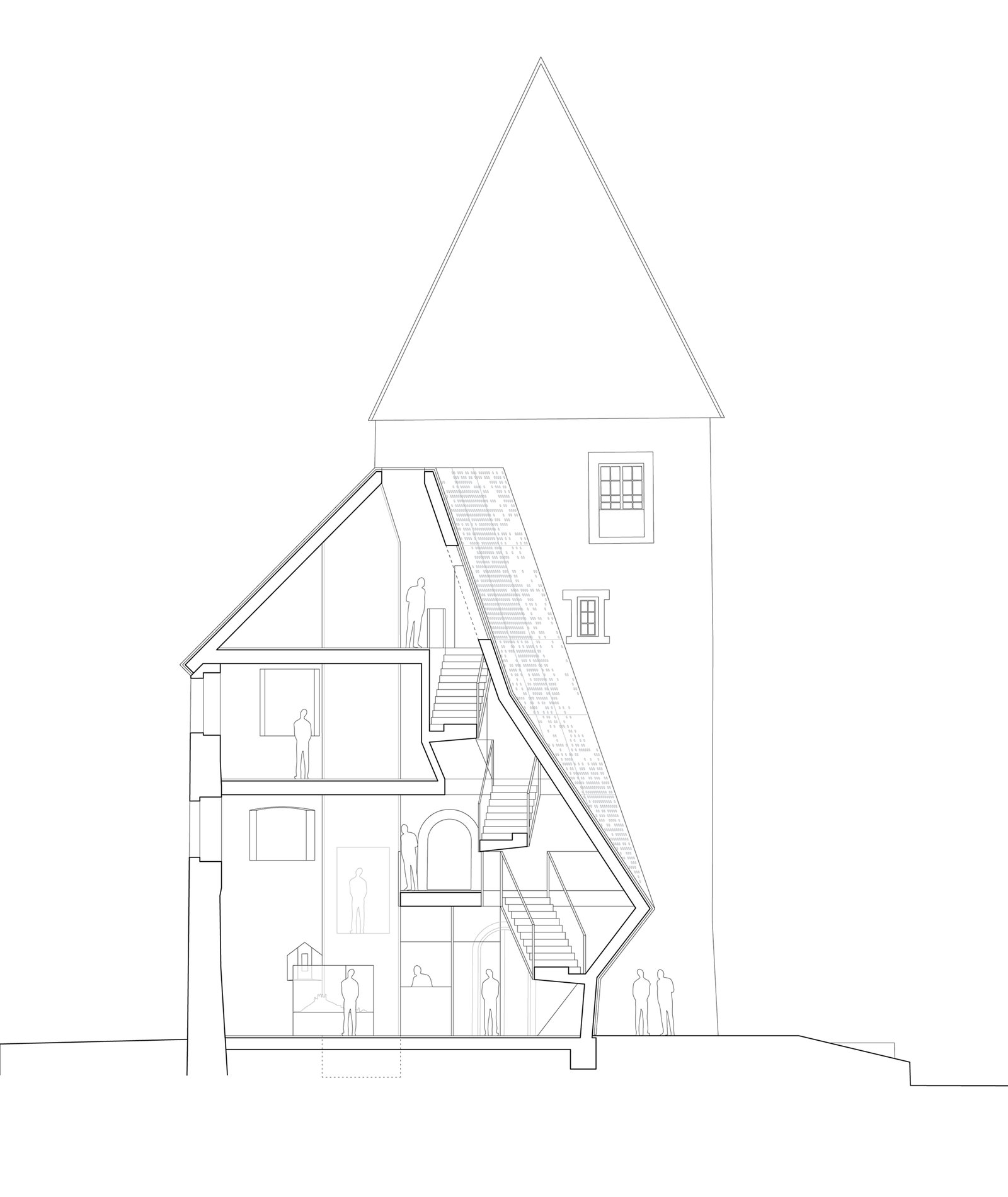 mlzd janus Sanierung Ausbau Stadtmuseum Schnitt