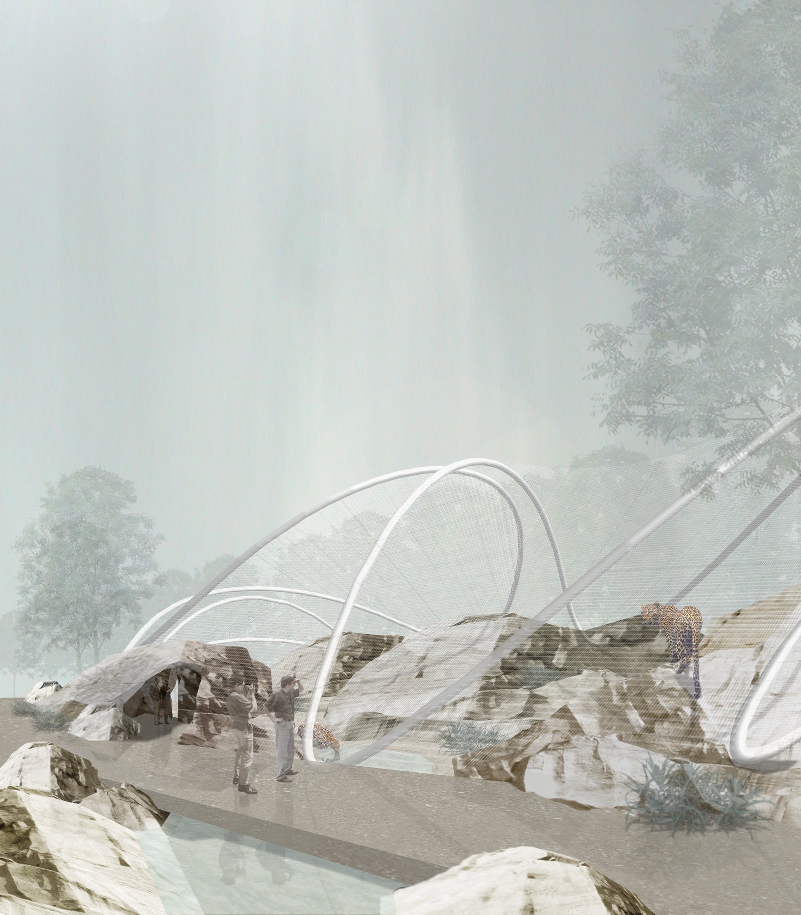 mlzd leo Leopardengehege Tierpark Bern