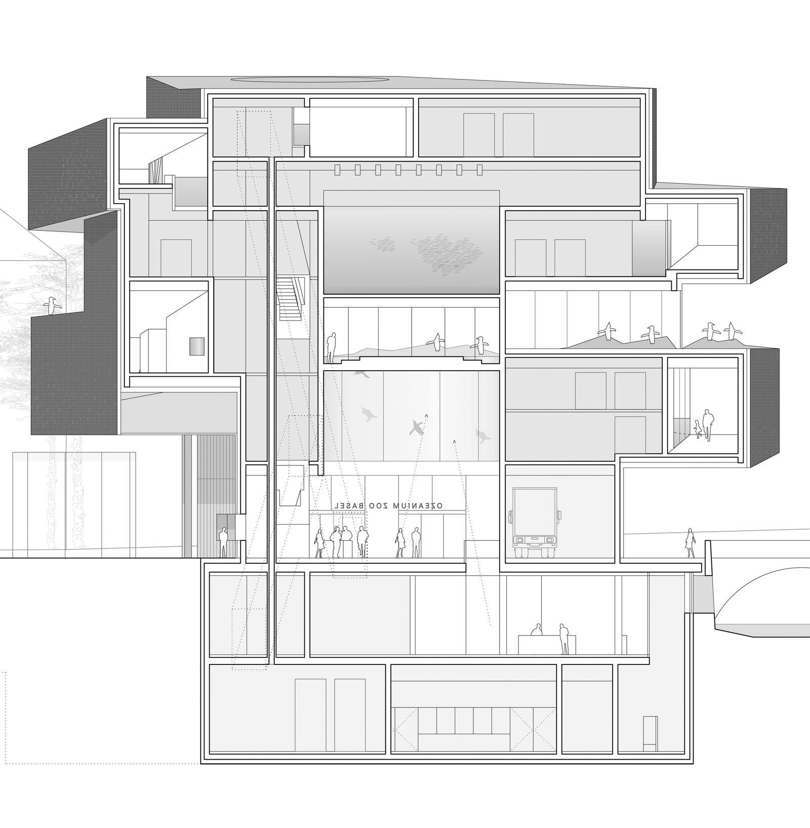 mlzd nob Neubau Ozeanium Schnitt