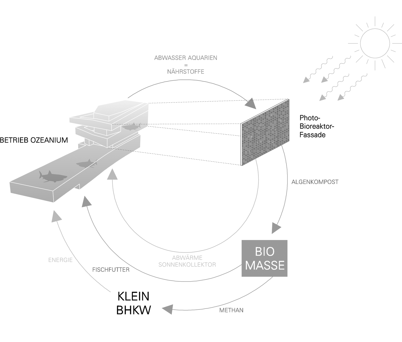 mlzd nob Neubau Ozeanium Schema