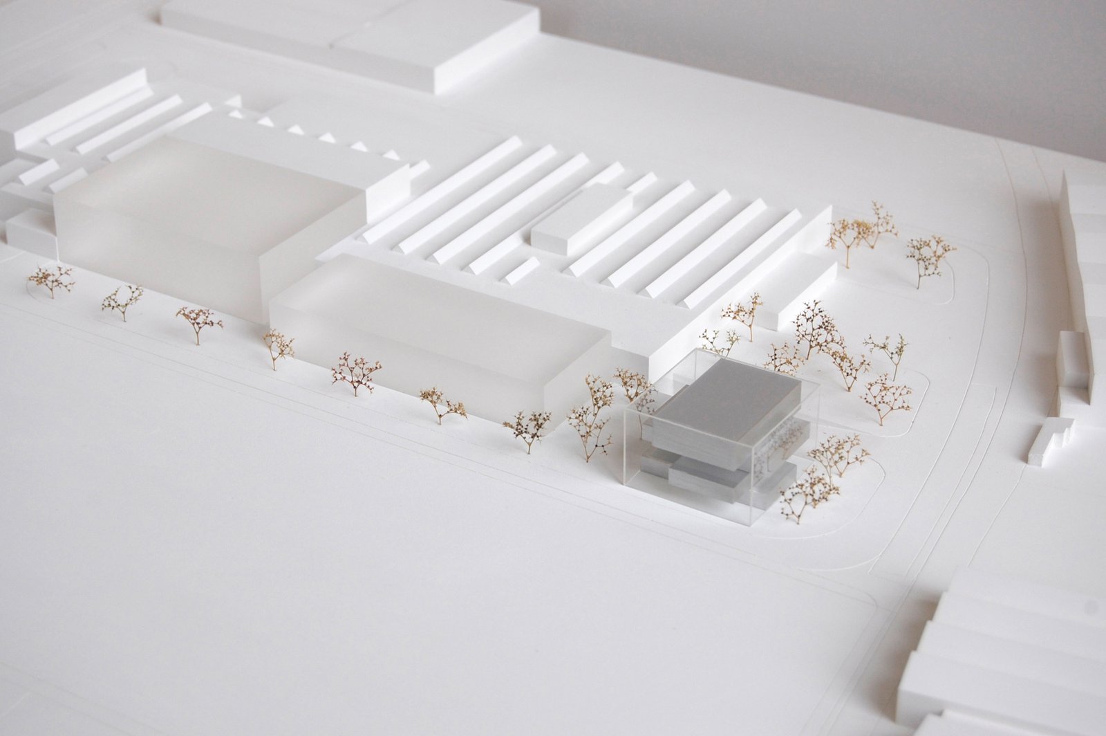 mlzd nuss Schulungshaus Nussbaum AG Modell