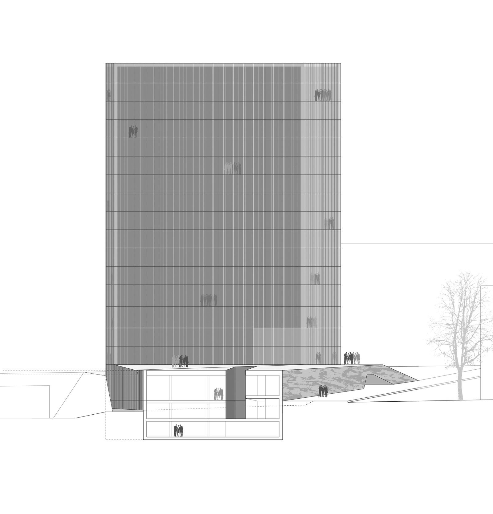 mlzd paix Maison de la paix Schnitt