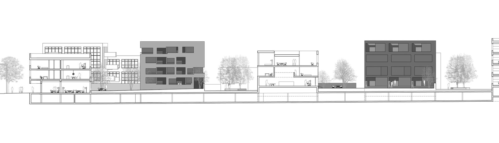 mlzd rein alter Werkhof Reinach Schnitt