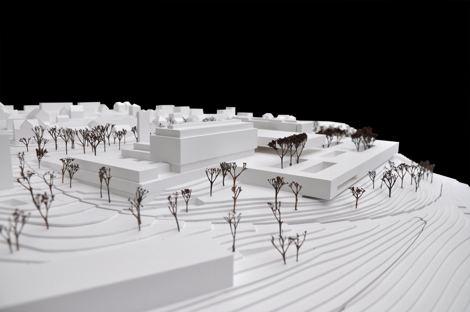 mlzd rkb Rehaklinik Bellikon Modell