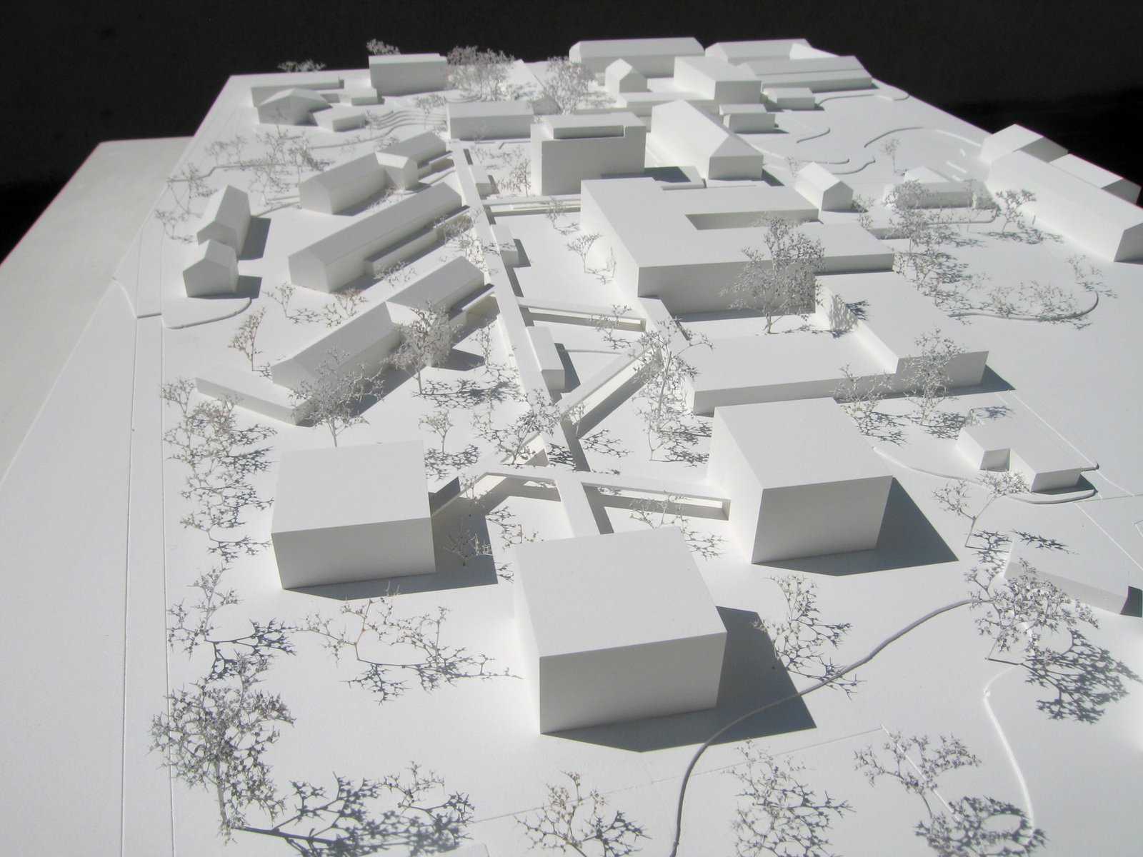 mlzd shw Ersatzneubauten Zelgli/Höfe Seelandheim