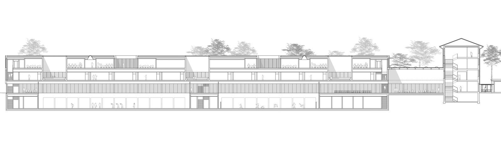 mlzd ssb Sekundarschulhaus Sandgruben Schnitt