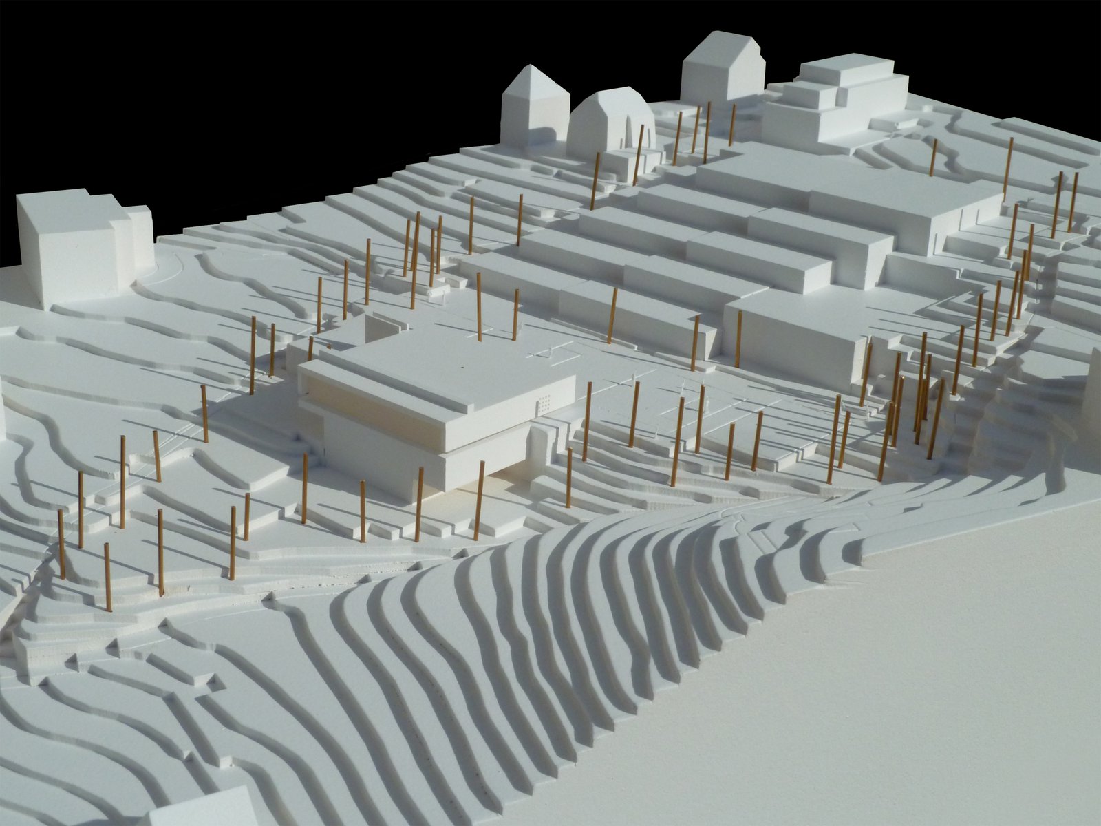 mlzd swb Schulanlage Walkermatte Modell