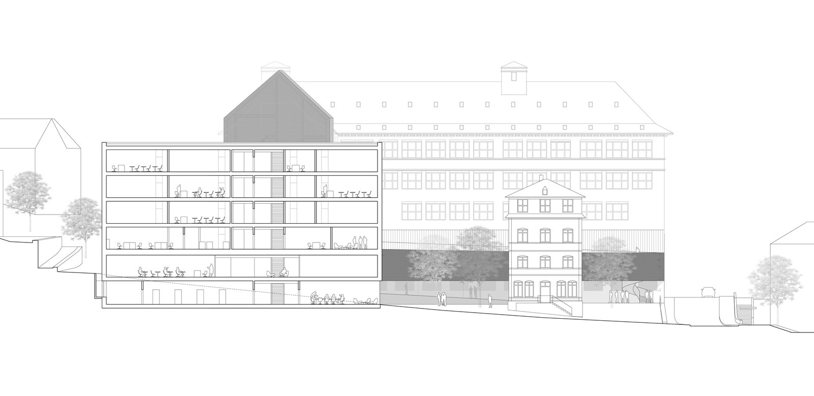 mlzd wfz Wirtschafts und Fachmittelschule Schnitt