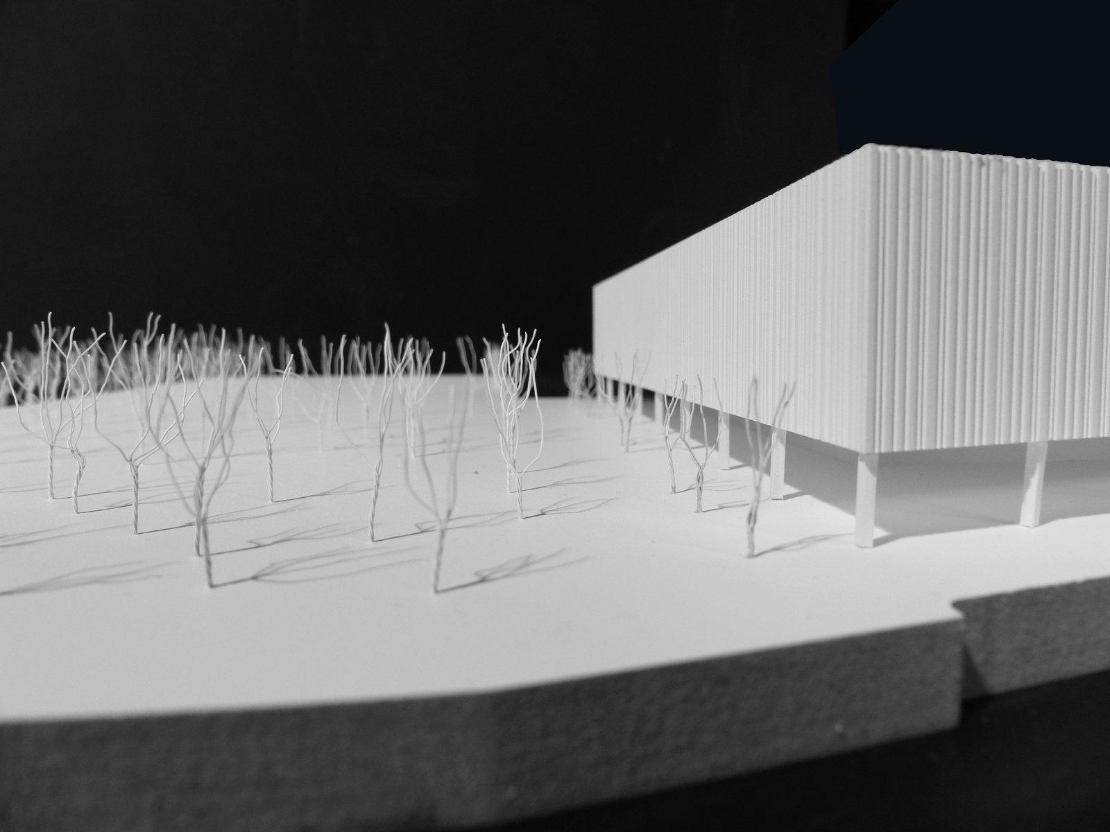 mlzd_sbm_Schule_Kompetenzzentrum_Muenchen_Modell2