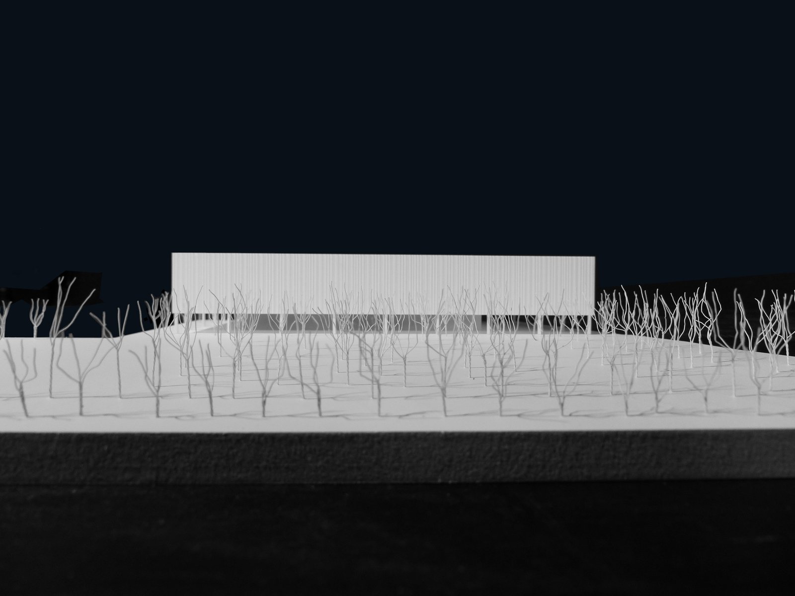 mlzd_sbm_Schule_Kompetenzzentrum_Muenchen_Modell4