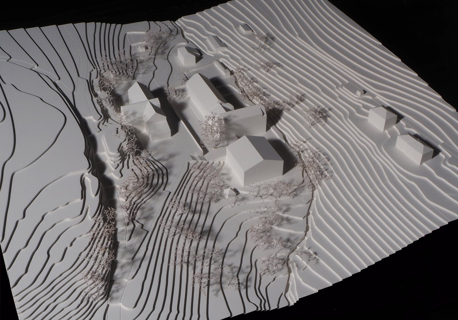 mlzd_bbb_Erweiterung_Bruettelenbad_Modell_Vogelper