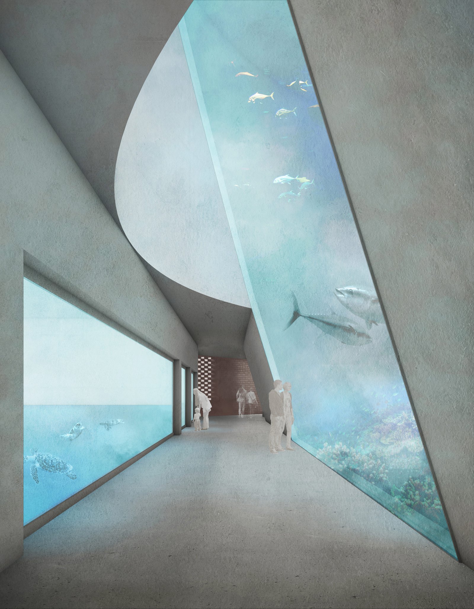 mlzd_mms_Meeresmuseum_Stralsund_Grossaquarium