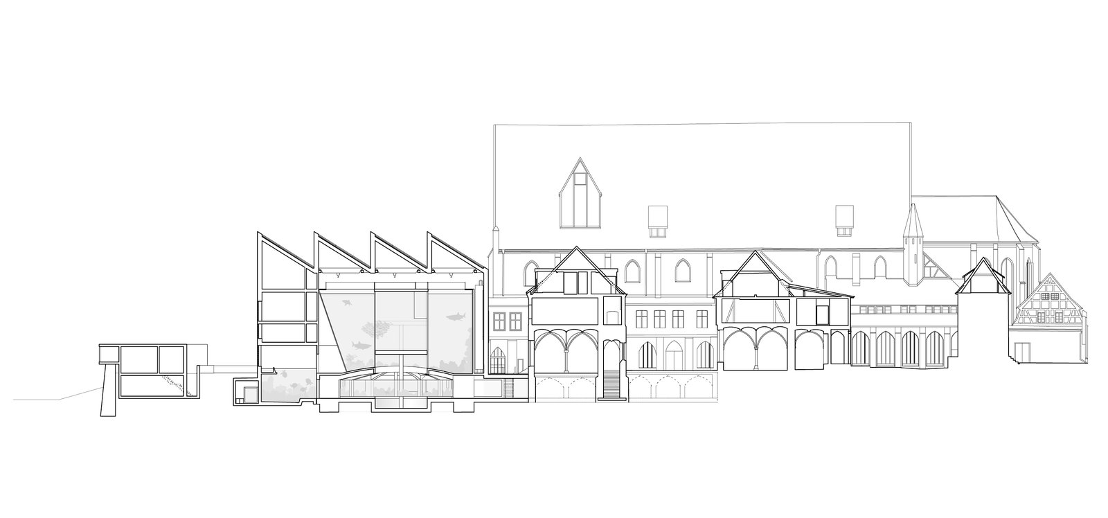 mlzd_mms_Meeresmuseum_Stralsund_Schnitt