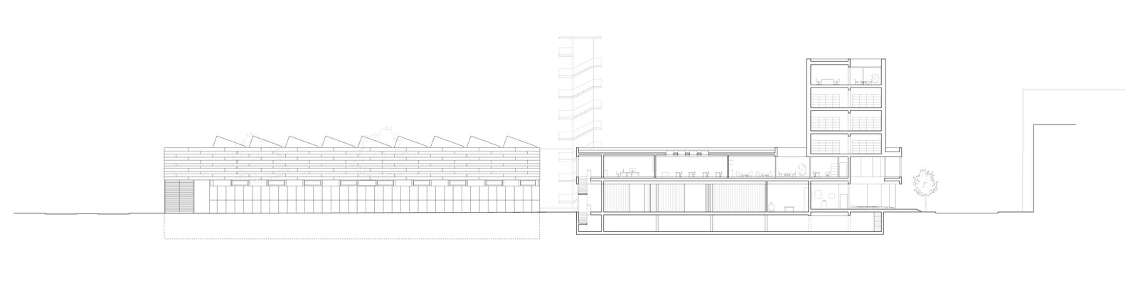 mlzd_nsb_Biel_Stadtarchiv_Laengsschnitt