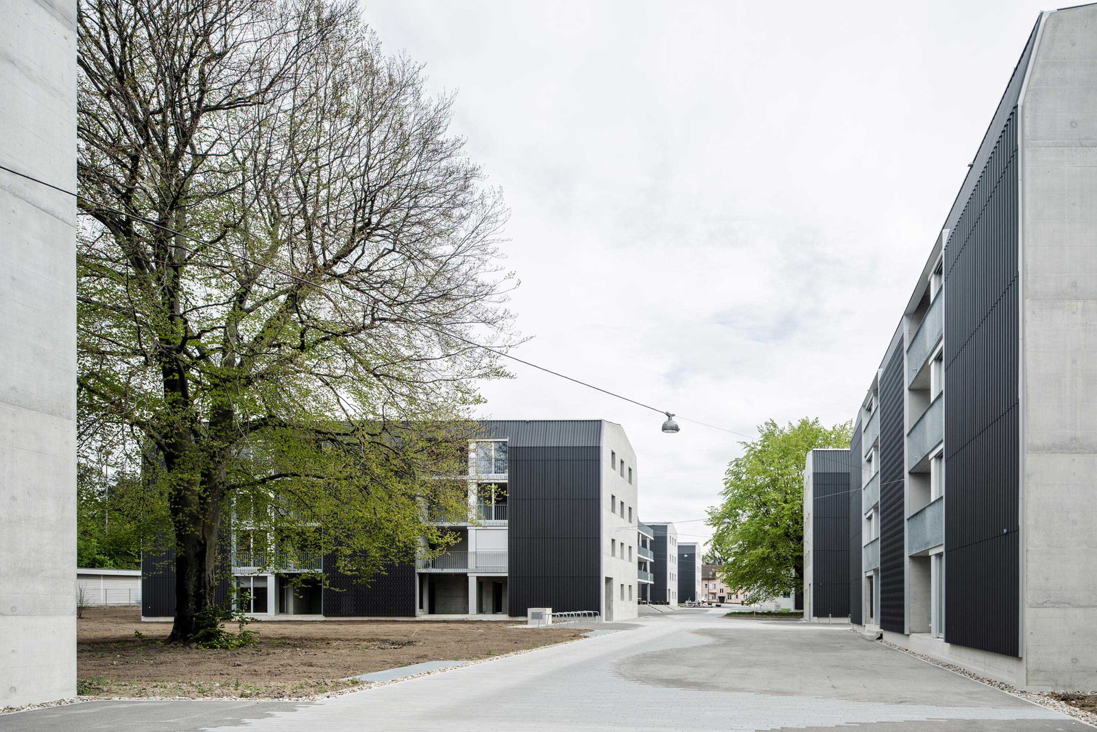 mlzd met Siedlung Narzissenweg Biel aussen