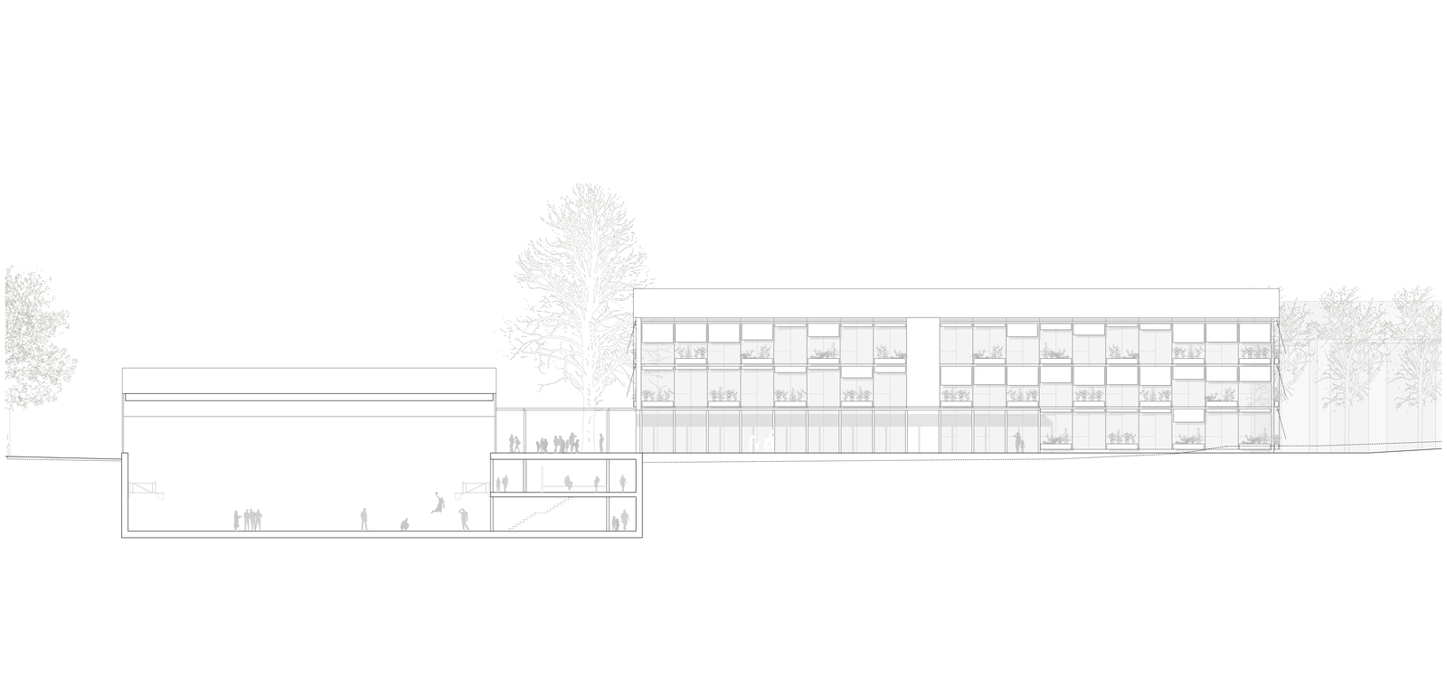 mlzd sko schulhaus kleinholz olten ansicht