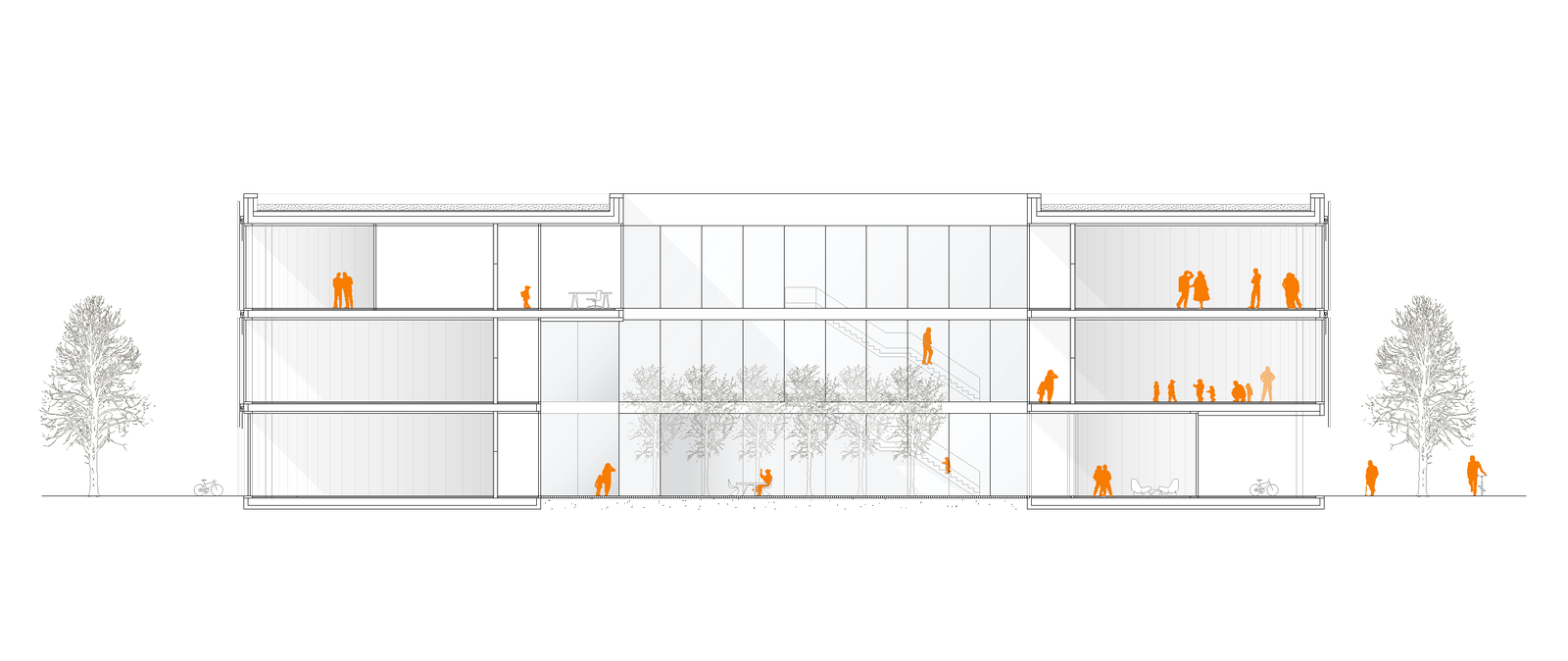 mlzd nbb Längsschnitt