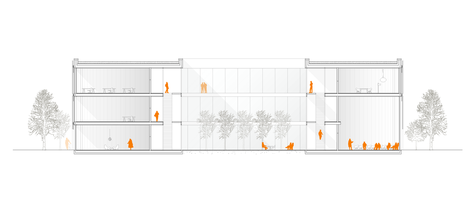 mlzd nbb Querschnitt