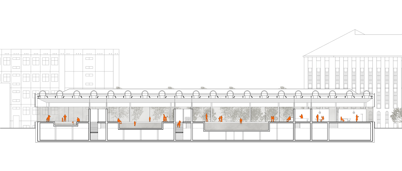 mlzd sml Schwimmhalle Leipzig Längsschnitt
