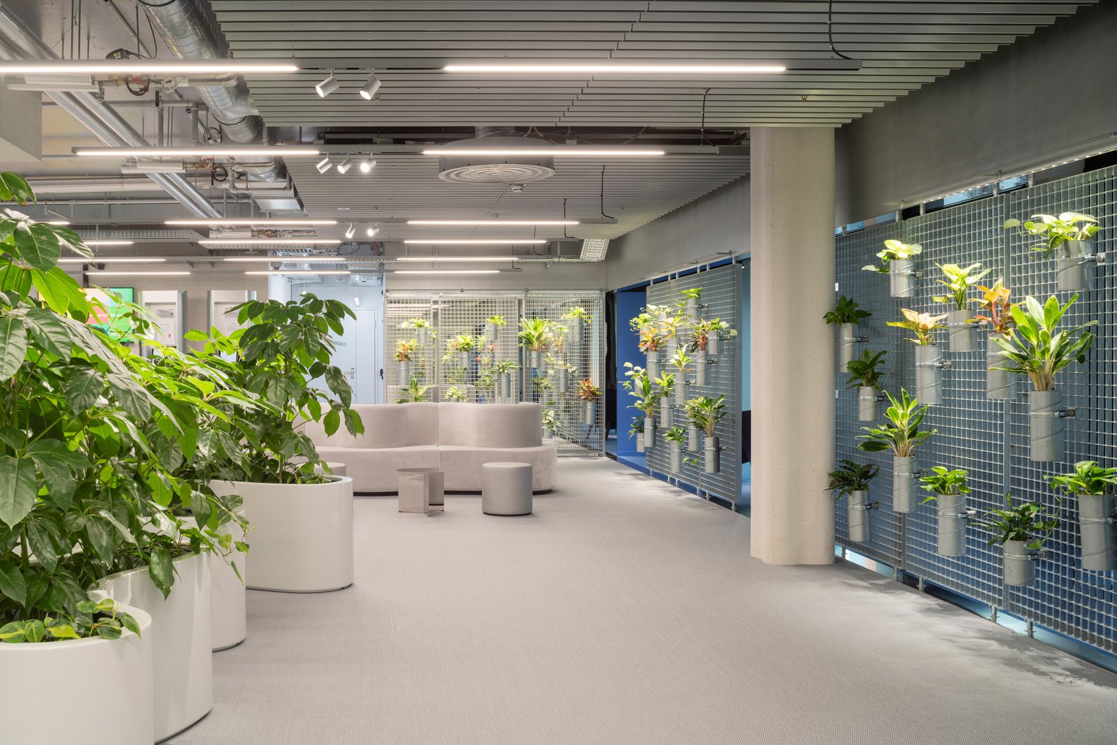 mlzd_gdz_Mieterausbau_Zürich_Foyer