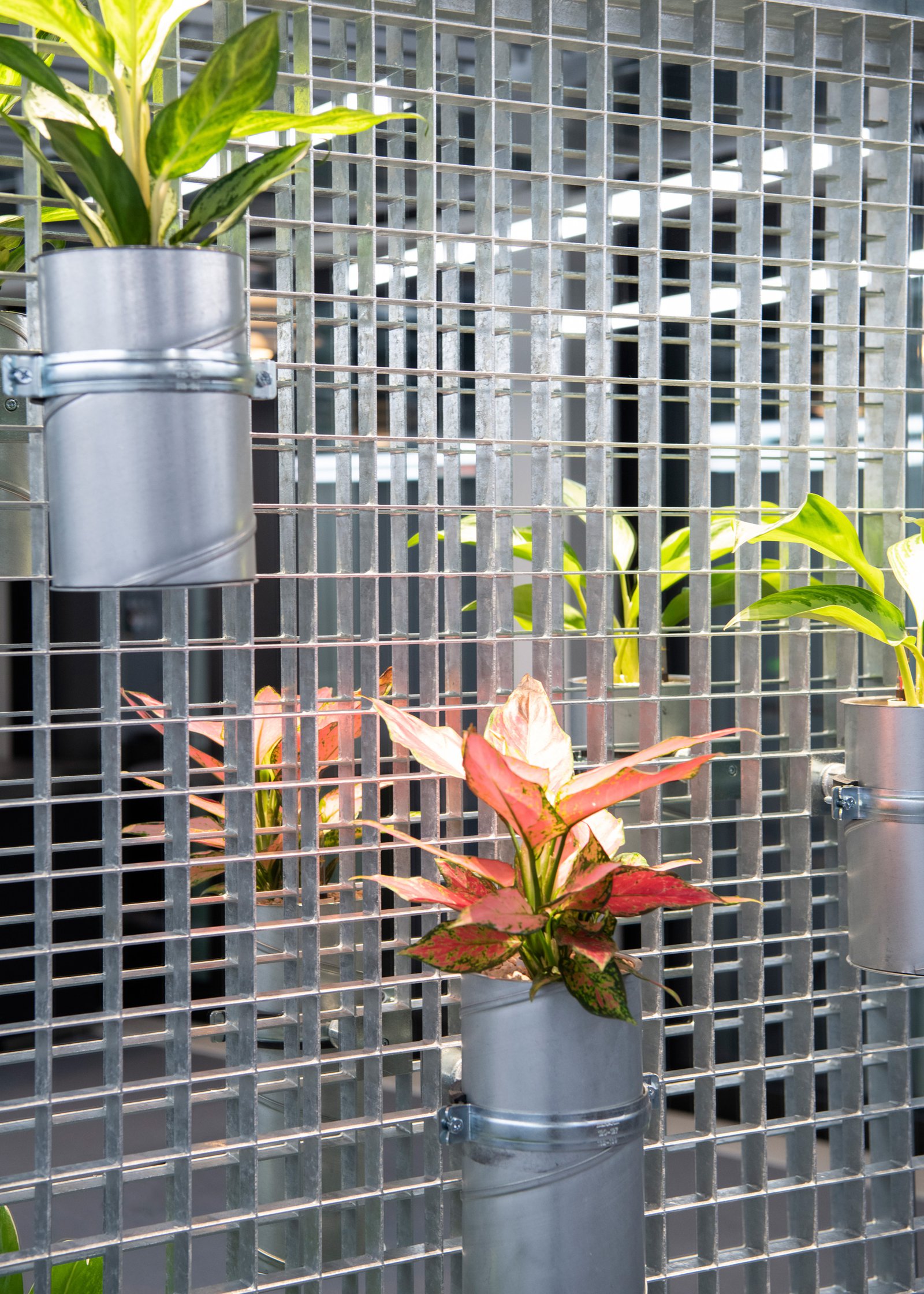 mlzd_gdz_Mieterausbau_Zürich_Korridor