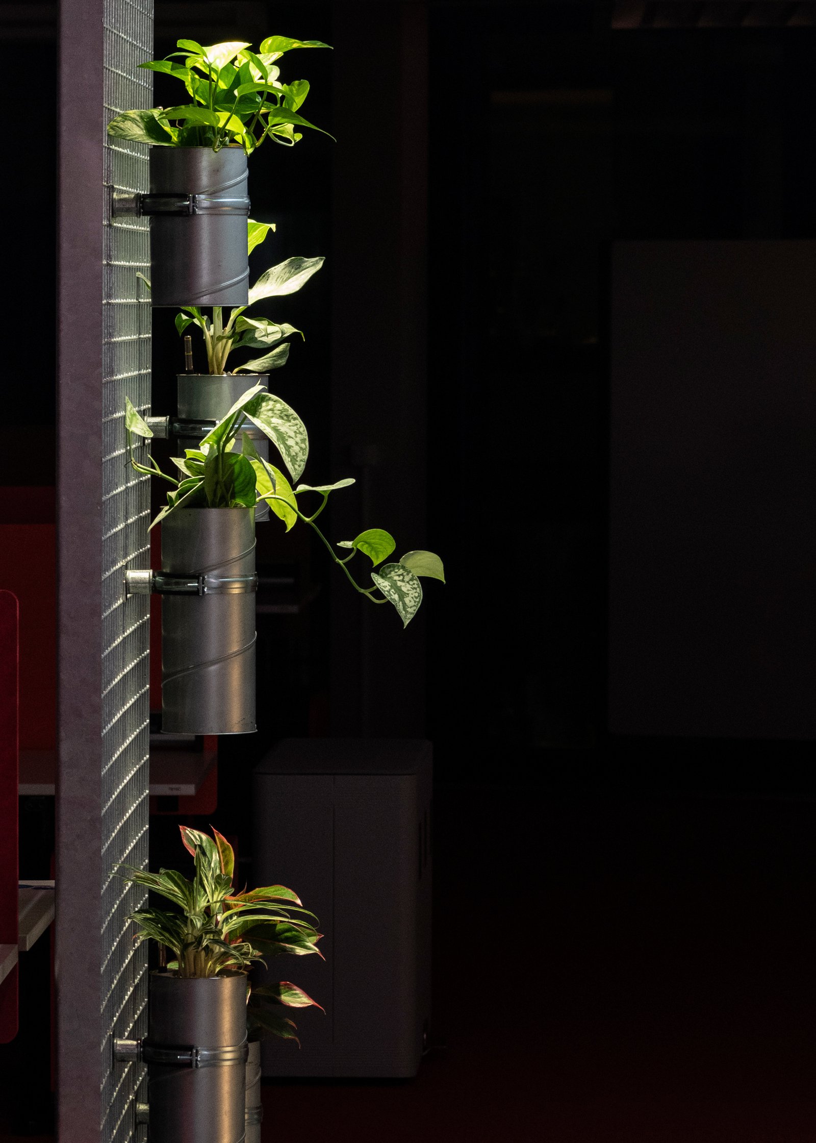 mlzd_gdz_Mieterausbau_Zürich_Korridor