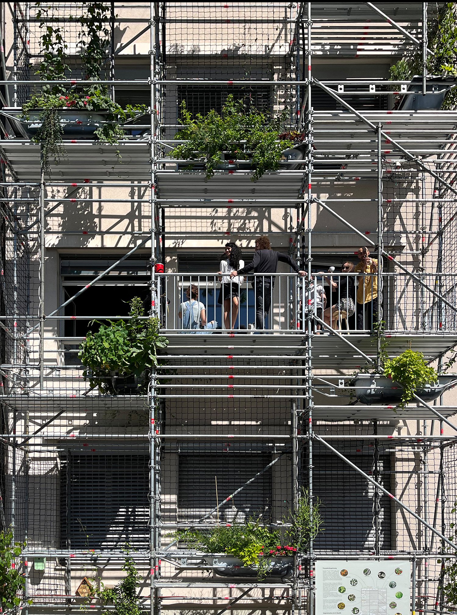 Ausbau Alleestrasse Biel, Fassadenbegrünung