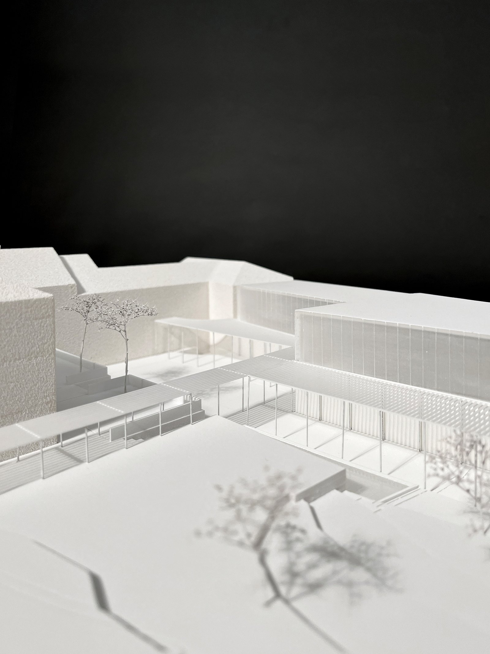 mlzd msnl museo-storia-naturale, Locarno, Modell