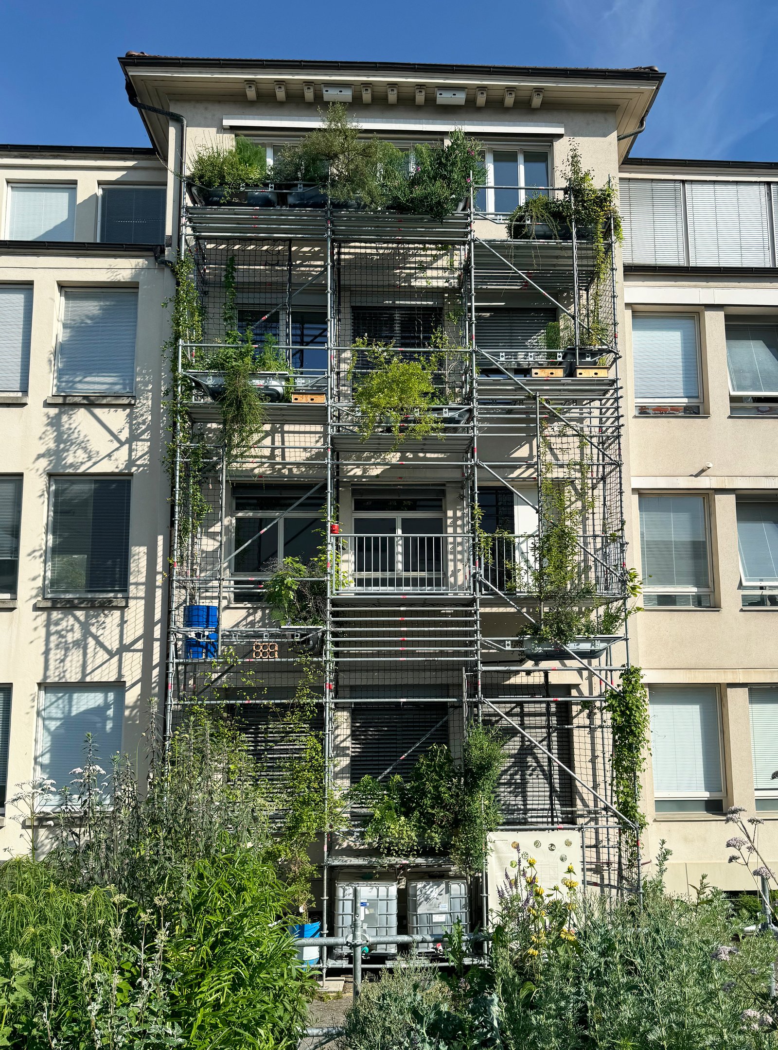 Ausbau Alleestrasse Biel, Fassadenbegrünung