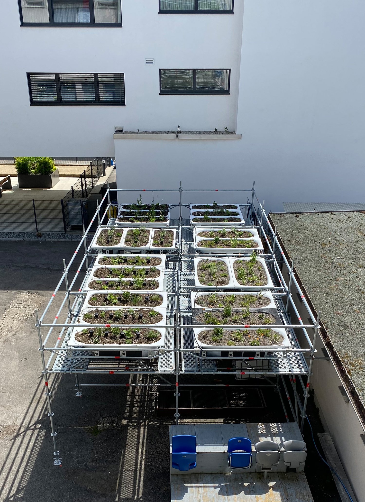 Ausbau Alleestrasse Biel, Testbepflanzung