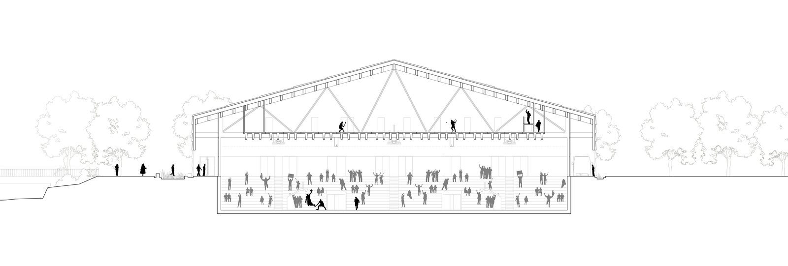 :mlzd_bob_ballsportzentrum_obermatte_buchs_schnitt