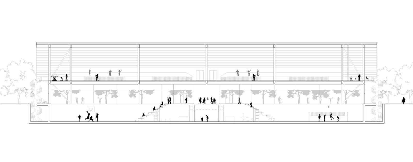 :mlzd_bob_ballsportzentrum_obermatte_buchs_schnitt