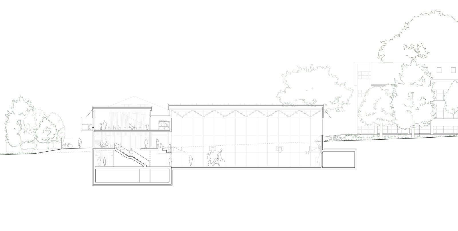 :mlzd - mle mehrzweckhalle  - schnitt