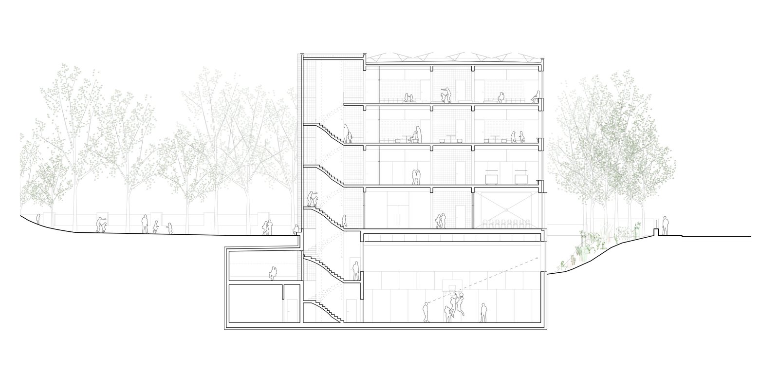 :mlzd - sbb volksschule breitfeld - schnitt