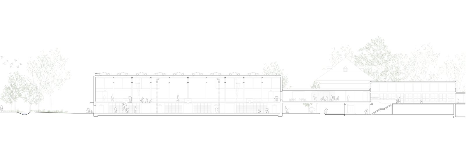 :mlzd - sgg sporthalle gländ - schnitt