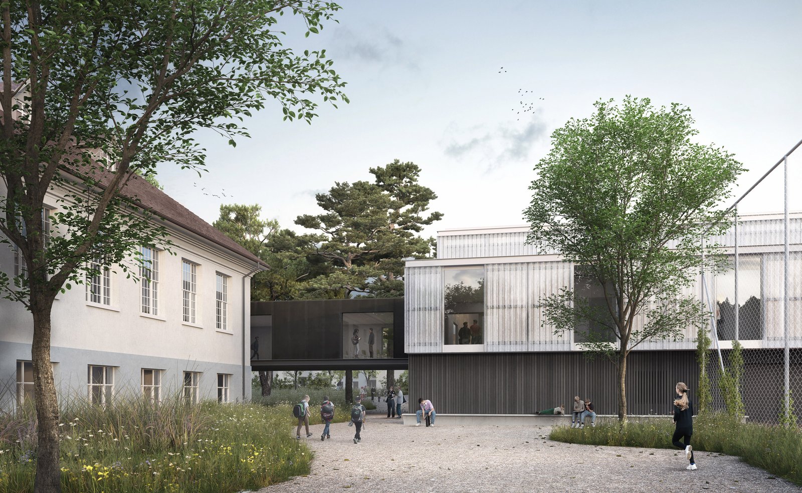 :mlzd - sgg sporthalle gländ - visualisierung