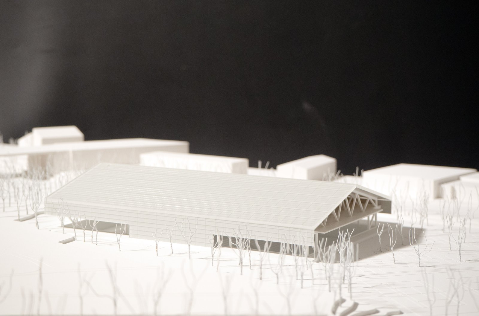 :mlzd_bob_ballsportzentrum_obermatte_buchs_modell