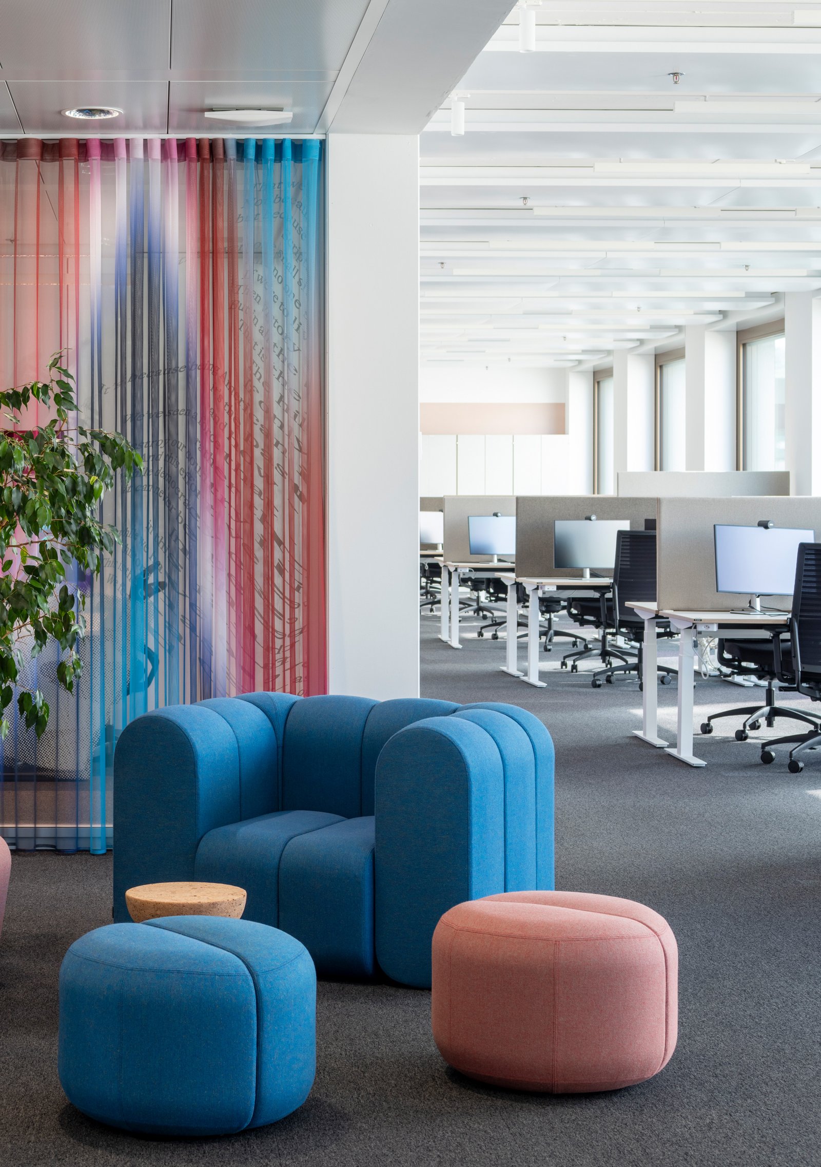 :mlzd mtw Mieterausbau Triumph Wallisellen