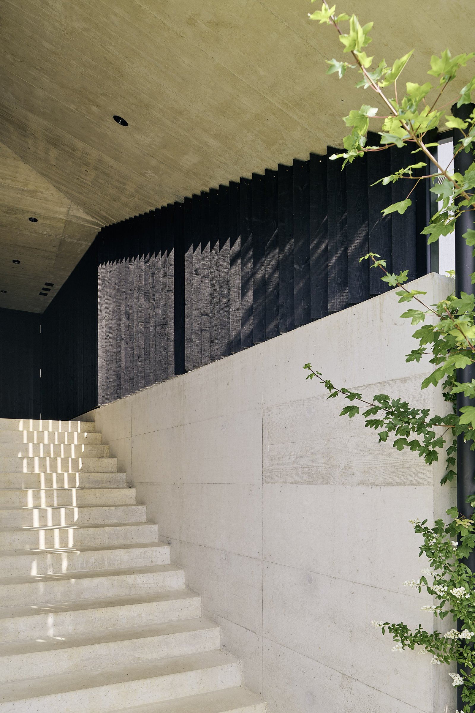 :mlzd_heu_Einfamilienhaus_Uettligen_Carport